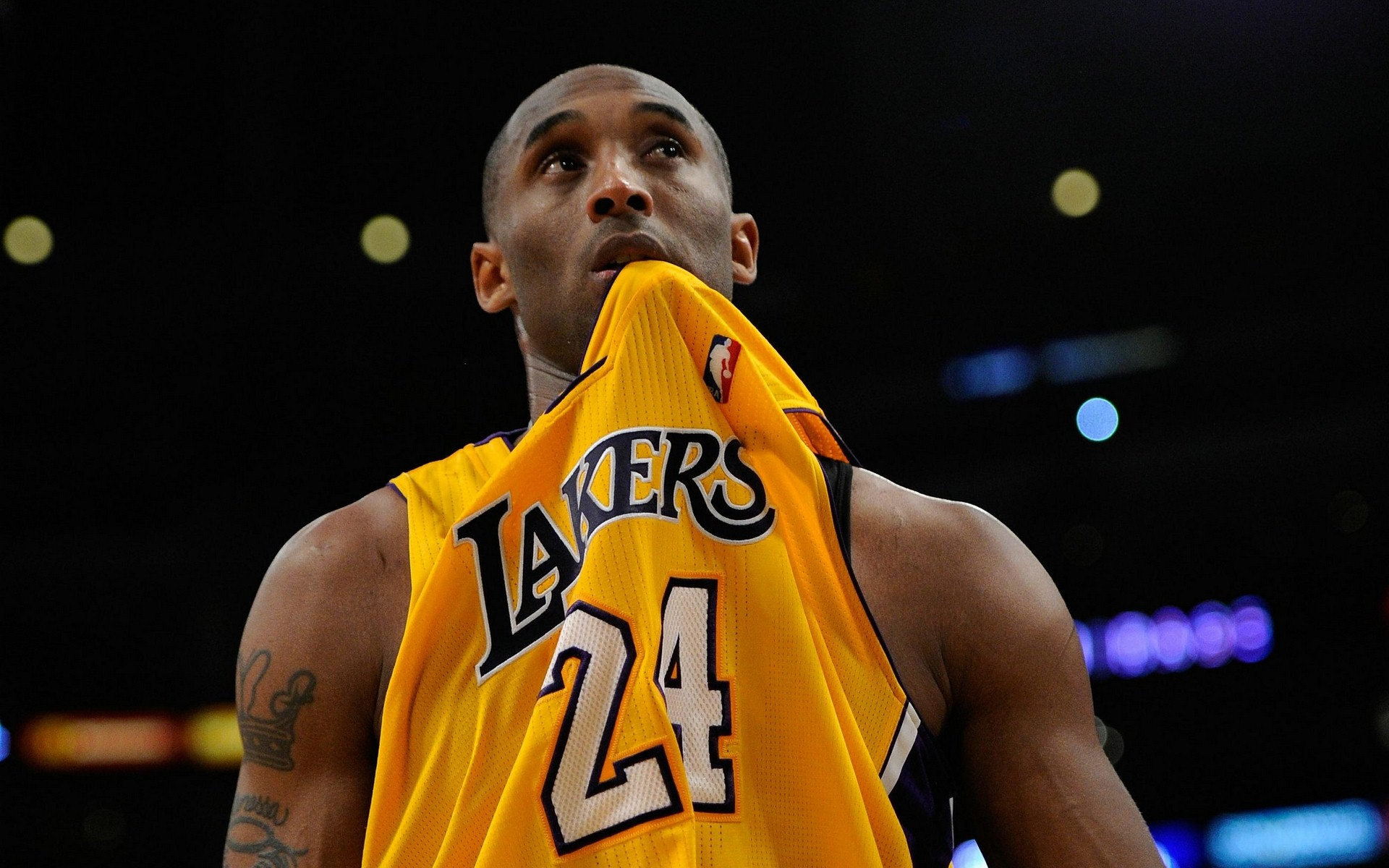 西部格局下 西部格局下